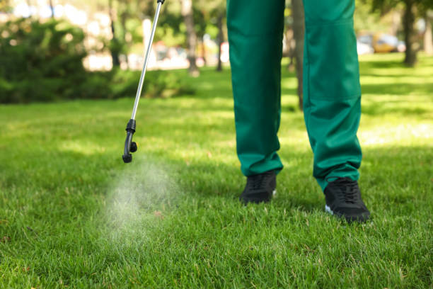 Best Cockroach Control Services  in Waipio, HI