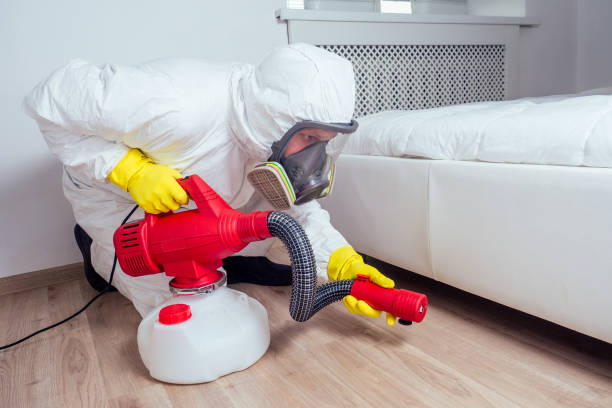 Best Best Pest Control Companies  in Waipio, HI