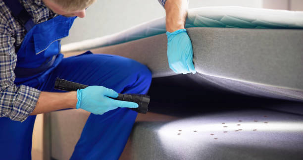 Best Mosquito Control Services  in Waipio, HI