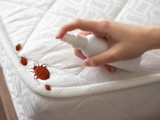 Best Commercial Pest Control Services  in Waipio, HI