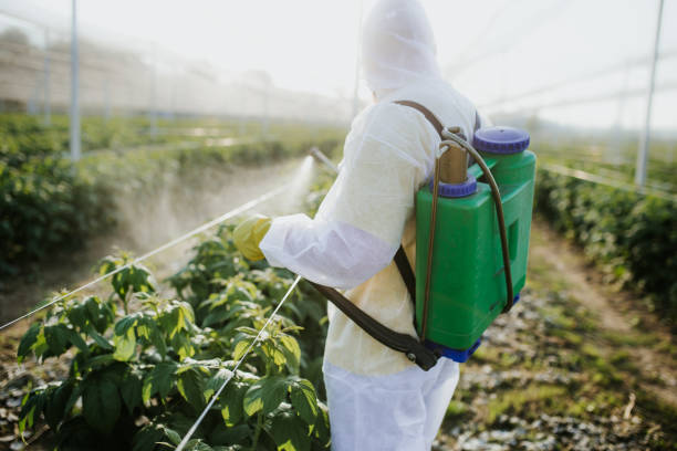 Best Best Pest Control Companies  in Waipio, HI